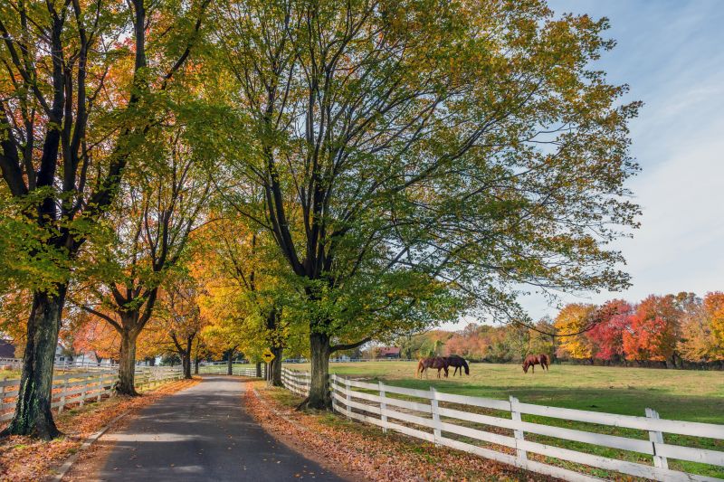 Equestrian Fence Installation